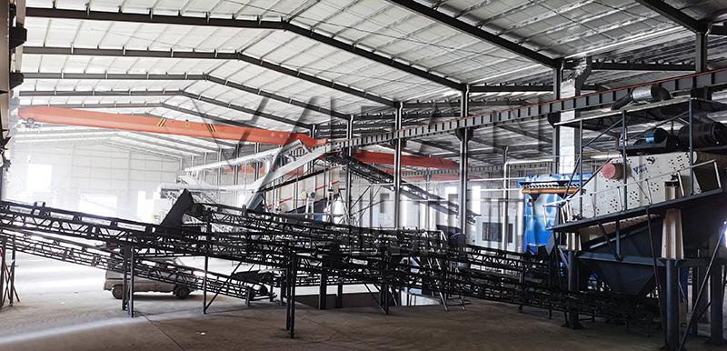 ��������̎��